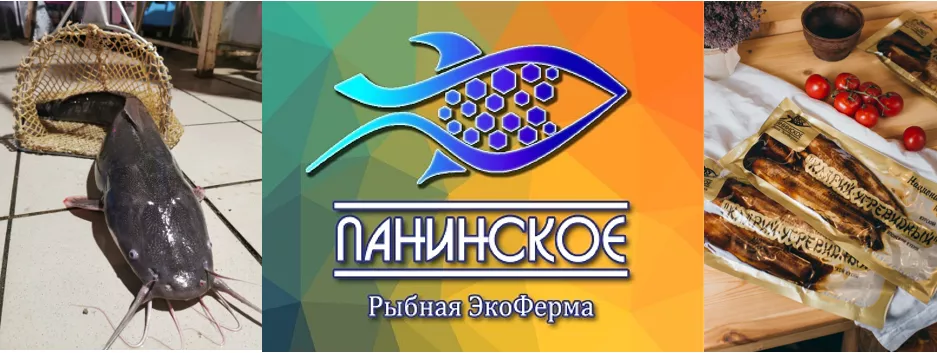 фарш рыбный морож из рыбы клариевый сом в Курске и Курской области