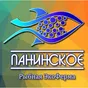 фарш рыбный морож из рыбы клариевый сом в Курске и Курской области